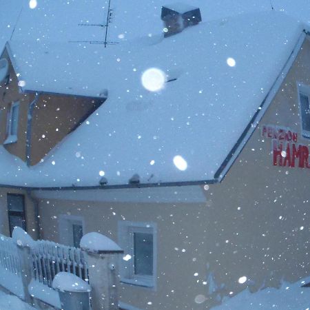 Penzion Hamrak Ceske Hamry Extérieur photo