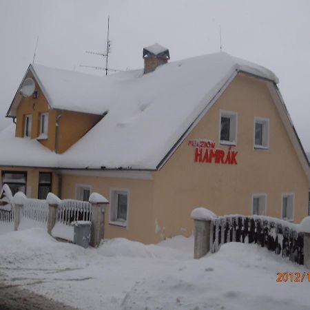 Penzion Hamrak Ceske Hamry Extérieur photo