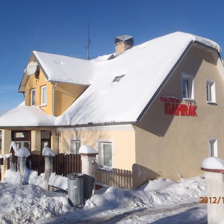 Penzion Hamrak Ceske Hamry Extérieur photo