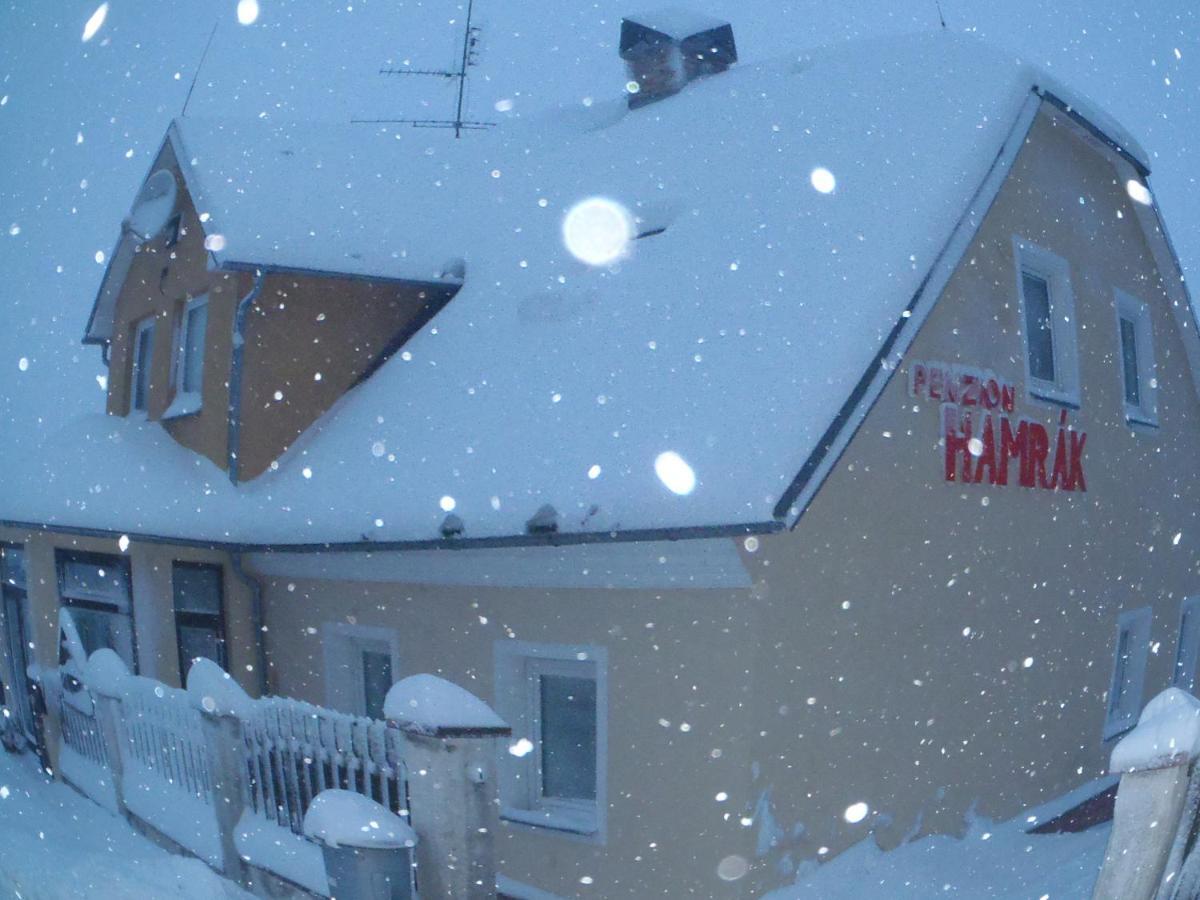 Penzion Hamrak Ceske Hamry Extérieur photo