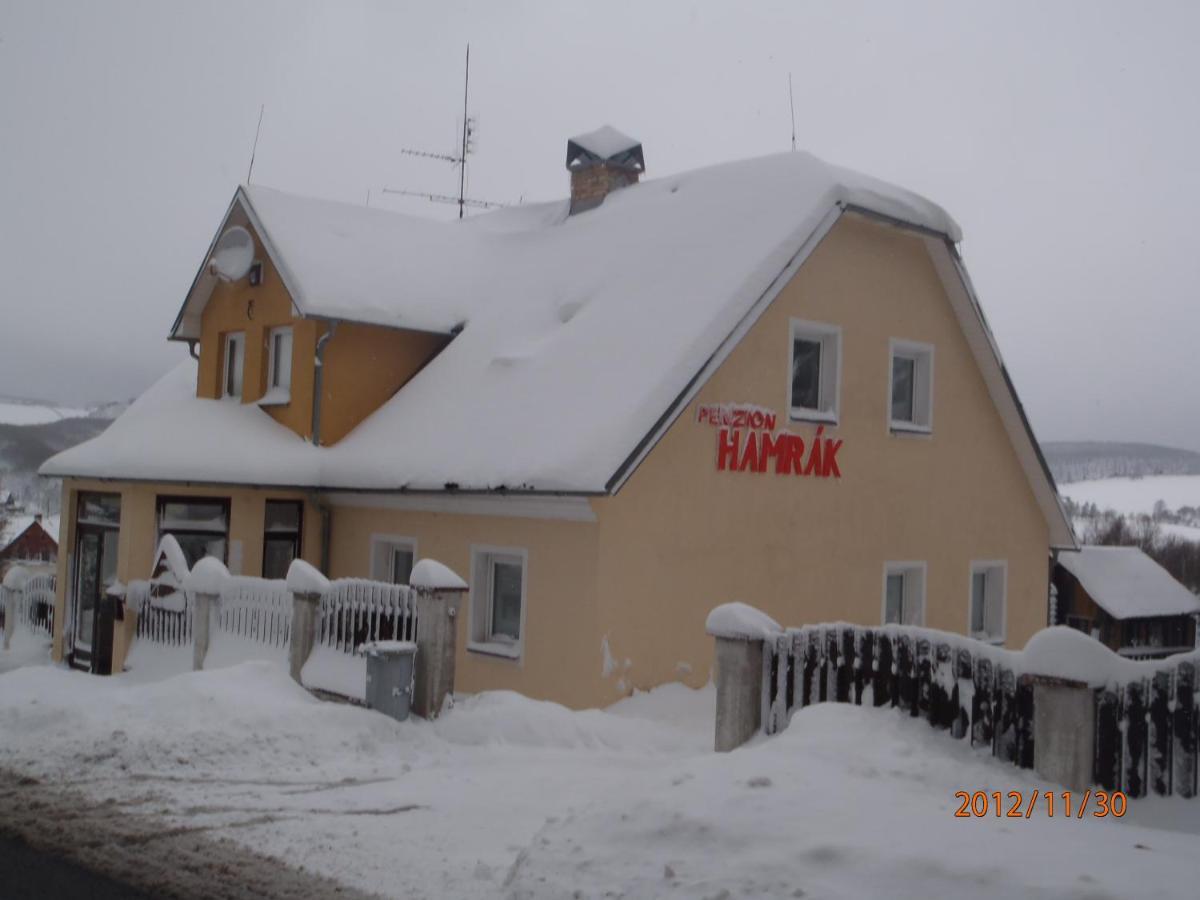 Penzion Hamrak Ceske Hamry Extérieur photo