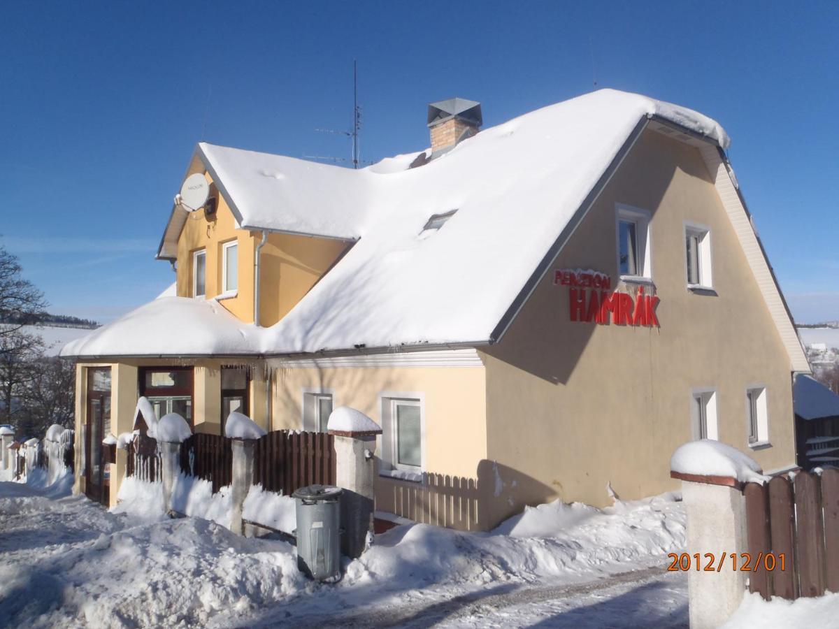 Penzion Hamrak Ceske Hamry Extérieur photo